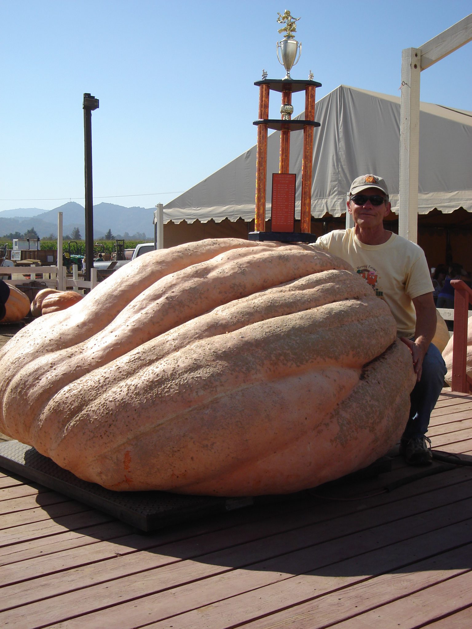 Gargantuan Gourds