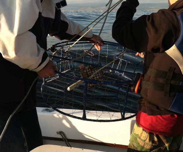 crab_fishing – UCSC Science Notes