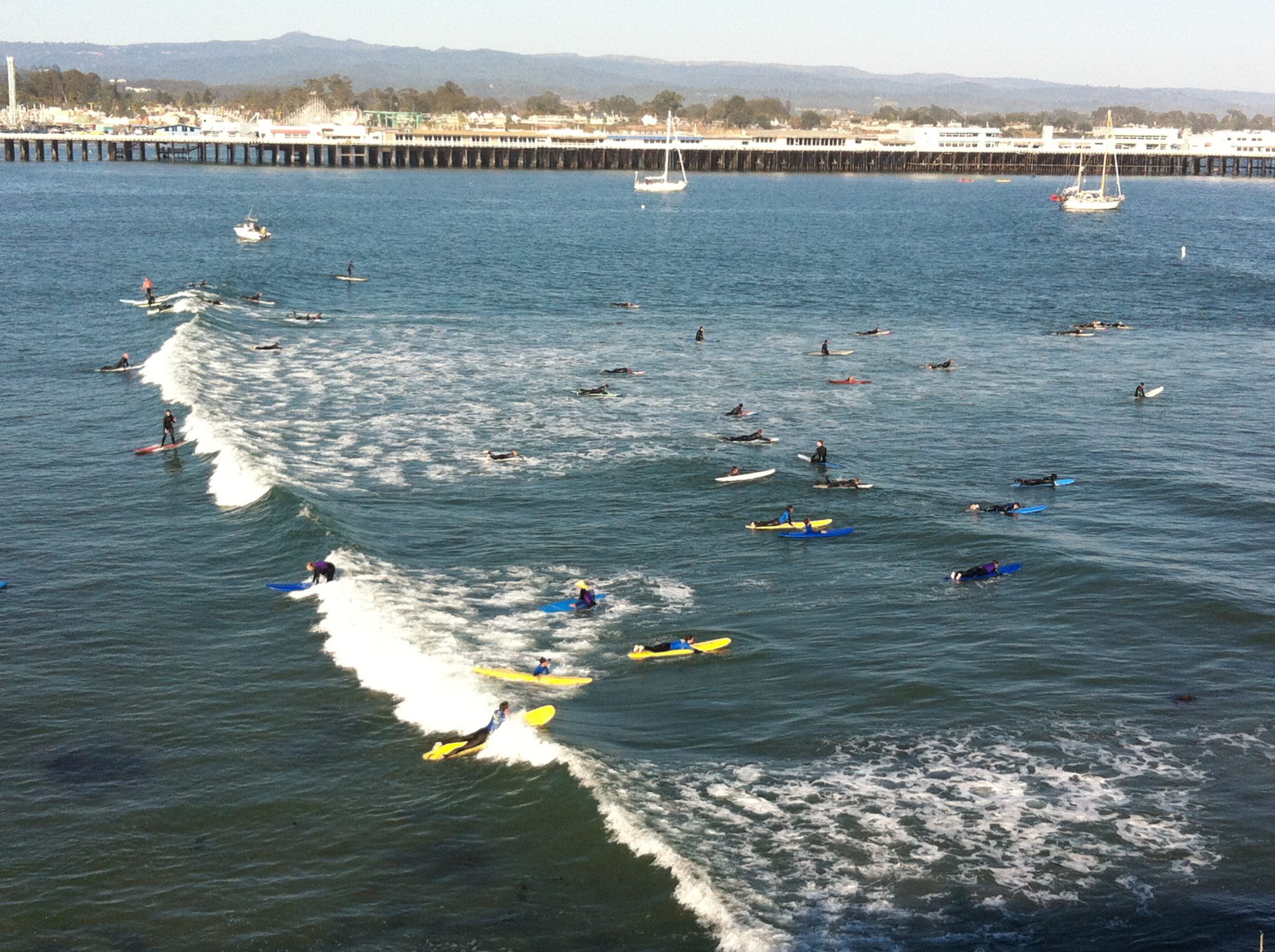 The Microbe Mystery at Cowell’s Beach