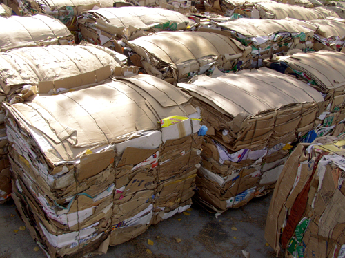 Paper Recycling: The Gift that Could Give Much More