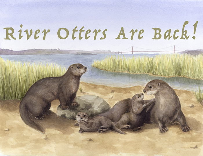 River Otters Are Back – UCSC Science Notes