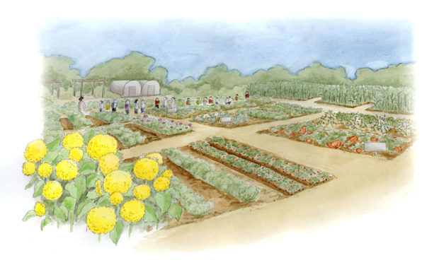 An artist's rendering of the Calabasas Elementary School Community Garden.