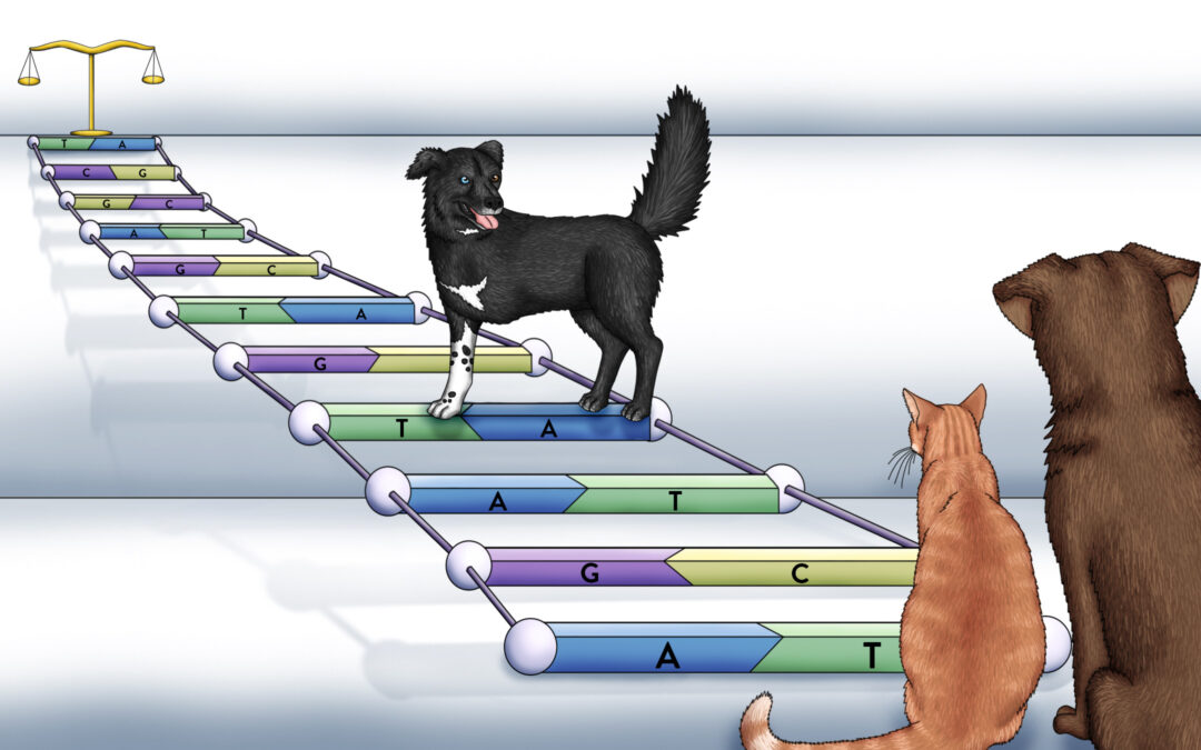 Cracking the Case With Pet DNA