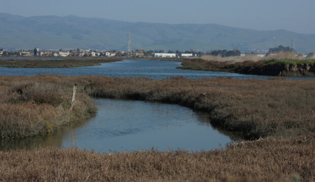 Low-lying vegetation are in the foreground of the picture, along with a channel running through them. Behind that, there is a larger channel going through more vegetation. In the distance, there are human developments, power lines and mountains.