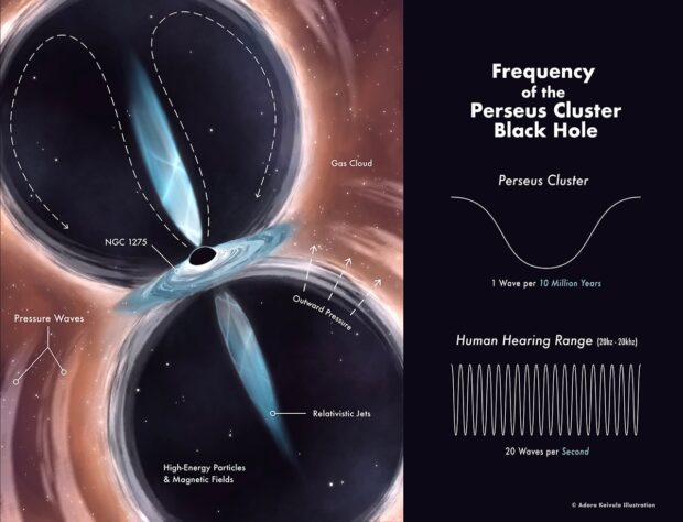 On the left, an illustration of the Perseus Cluster black hole shows the gas cloud and strong pressure waves that surround it. On the right, a diagram compares the wavelengths of the sound from the black hole versus what humans can hear. The black hole emits one sound wave every 10 million years. Humans can hear 20 waves per second.