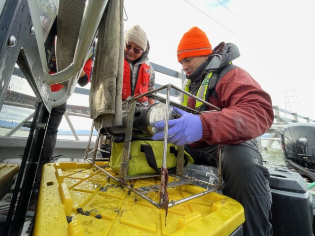 A scientist frees an instrument from its cage while sitting on a boat.