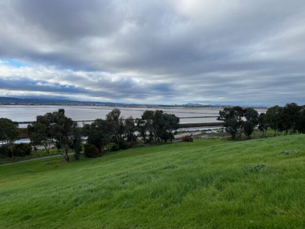 A grassy hill with water in the background.