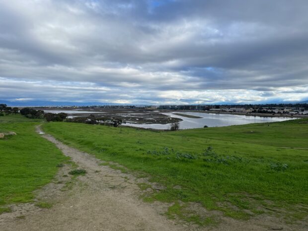 A grassy hill with water in the background.