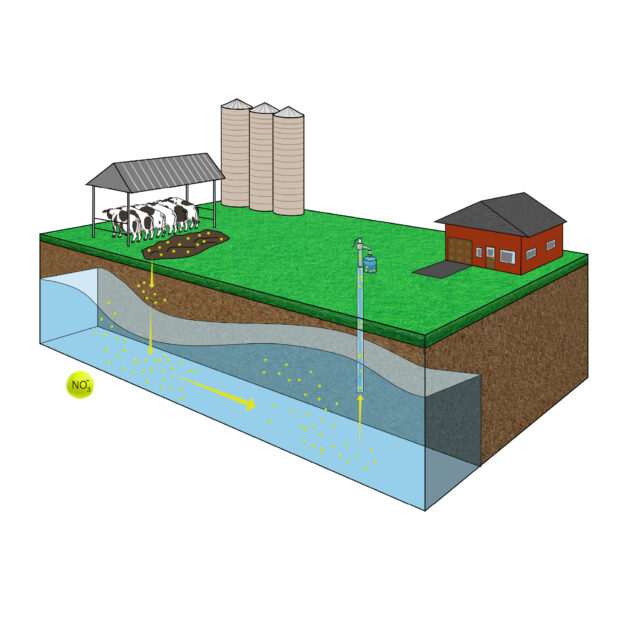 The image is an illustration of a dairy farm next to a home with a domestic well. Nitrates are depicted as small yellow dots and their movement is depicted in yellow arrows. 